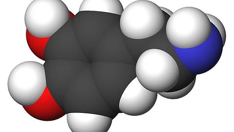 Dopamine is a neurotransmitter produced in the brain that serves as a chemical messenger, facilitating communication between nerve cells in the brain and the body.
(Representational image: Wikimedia Commons)