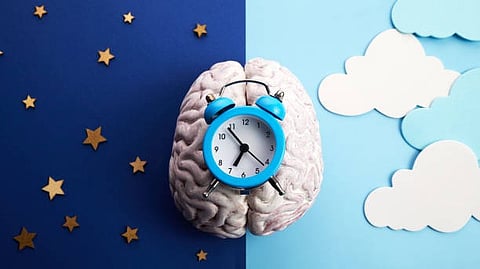 Teneurin-3 identified helps wire the brain during neural development to allow for stable responses to circadian rhythm challenges from day to day. (Representational Image: Unsplash)