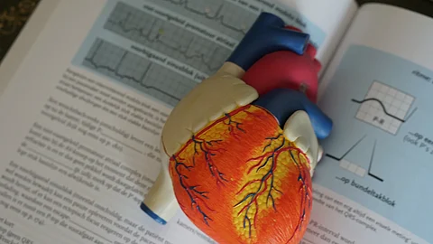 Infusions of potentially therapeutic cells derived from the heart are safe for people with pulmonary arterial hypertension. (Representational Image: Unsplash)