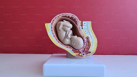 Central Government Amends Surrogacy Rules (Representational image: Unsplash)