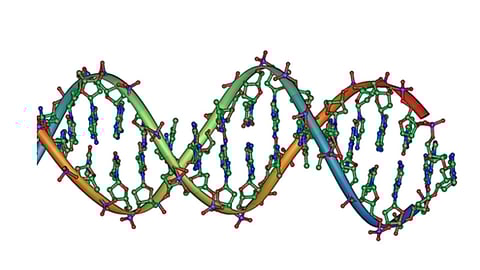 Global Science Connections: RCB Researchers Join EMBO’s Prestigious Network (Representational image: Wikimedia Commons)