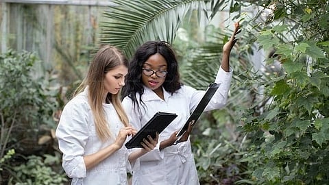 The software allows Orebaugh to see areas where plants are healthy compared to areas that have less lush or no plants (Representational image : Unsplash)