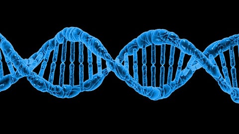 A pilot study confirms the feasibility of implementing an RNA sequencing analysis for clinical diagnosis of pediatric B-acute lymphoblastic leukemia (B-ALL).(Representational Image: Unsplash)