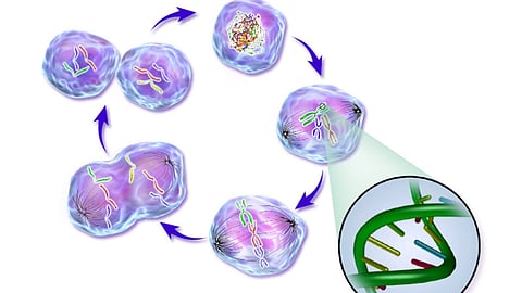 The normal accumulation of mutations during aging may explain many pediatric acute myeloid leukemia (Representational image : Wikimedia commons)