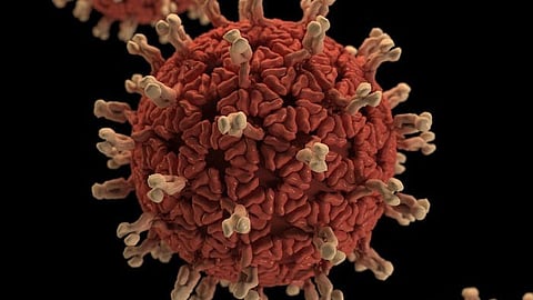 Health experts predict a rise in diseases due to multi-drug resistant bacteria and in non-communicable diseases in the country in the years to come (Representational image : Unsplash)