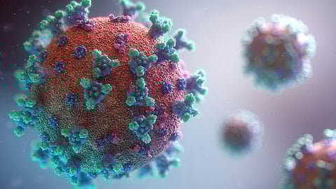 Fighting Viruses that Cause Cancer (Representational image:Unsplash)