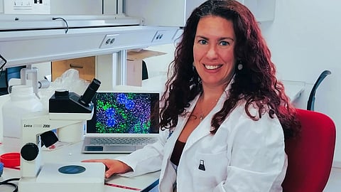 Researchers at The University of Texas at El Paso have identified a novel pharmaceutical compound that successfully kills leukemia and lymphoma cancer cells (Representational image : Wikimedia commons)