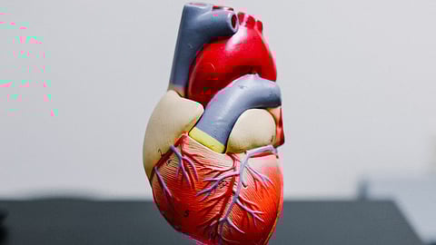 A 26-year-old postgraduate medical student died after 2 days of continuous duty due to myocardial infarction.(Representational Image: Unsplash)