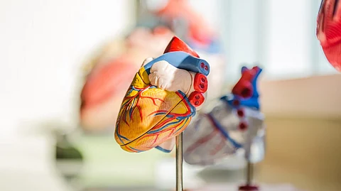 In addition to seeing improvements in systolic blood pressure, the investigators found that reductions in blood lead levels were associated with reductions in a marker associated with hypertrophic cardiomyopathy and heart failure. (Representational Image: Unsplash)