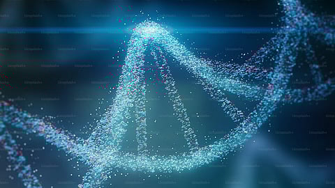 Ancient DNA samples can erode over time and can be contaminated by DNA from other ancient samples or from people handling them. (Representational Image: Unsplash)