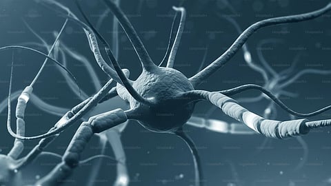 New research may create some respite for sufferers of two medically unexplained fatigue-inducing conditions: myalgic encephalomyelitis/chronic fatigue syndrome (ME/CFS) and fibromyalgia (FM).(Representational Image: Unsplash)