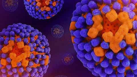 Seasonal influenza viruses pose a major public health threat, infecting nearly 1 billion people worldwide each year and causing millions to require hospitalization and advanced care. (Representational Image: Wikimedia commons)