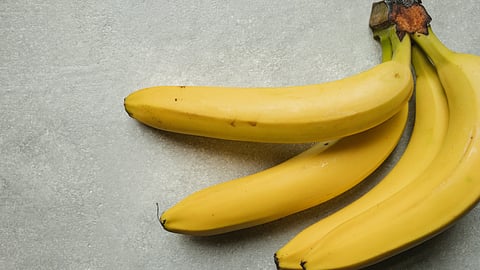 The QCAV-4 banana is the first genetically modified banana to be approved for commercial production in the world. (Representational image: Unsplash)