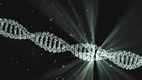 Scientists have been making nanoparticles out of DNA strands for two decades, manipulating the bonds that maintain DNA’s double-helical shape to sculpt self-assembling structures that could someday have jaw-dropping medical applications. (Representational Image: Pixabay)