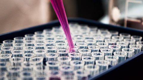 HaystackAnalytics is a pioneer in genomics-based diagnostics solutions from IIT Bombay and NIMS Medicity. (Representational image: Unsplash)