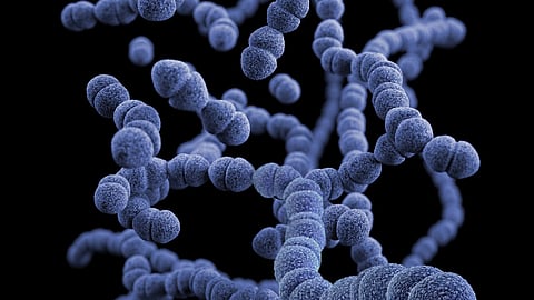 Understanding how bacteria react to this type of virus is a big step in combatting antimicrobial resistance. (Representational Image: Unsplash)