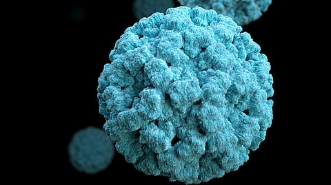 Norovirus Cases Reported In North East Region Of US (Representational image: Unsplash)