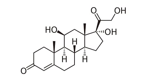 Cortisol, a steroid hormone, rises in humans and many animals to help regulate the body’s response to stress, but prolonged high cortisol is associated with major health problems including high blood pressure and diabetes.  (WIKIMEDIA COMMONS)