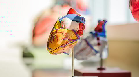 After conducting a series of tests, doctors identified that Raj had recurrent ventricular tachycardia, which is a potentially dangerous cardiac rhythm disorder. (Representational Image: Unsplash)