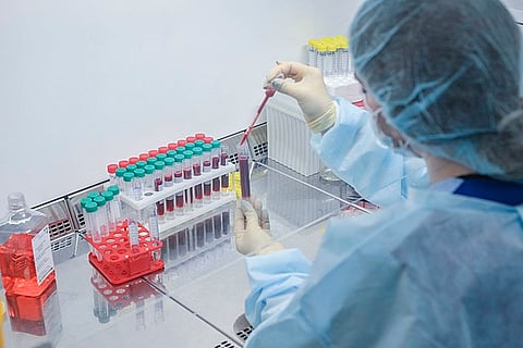 Drugs that target the activin receptor 1C on tumor cells may combat tumor-induced immune suppression and help patients’ immune systems fight back against cancer, leading to an entirely new class of immunotherapy. (Representational image Wikimedia commons)
