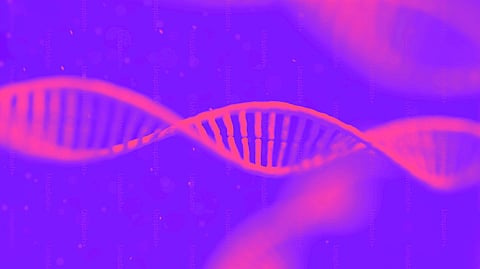 Fluorescent nano silver clusters, using nanotechnology to detect the target DNA, following nuclease fragementation. (representational Image: Unsplash)
