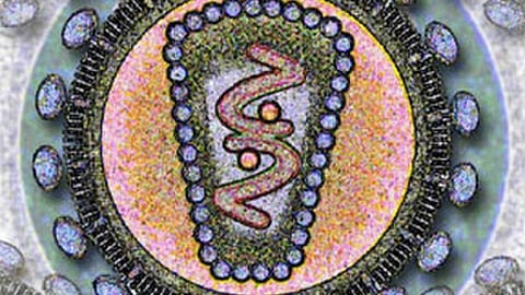 Second HIV Screening Camp Starts in Assam’s Tinsukia (Representational image: Wikimedia Commons)