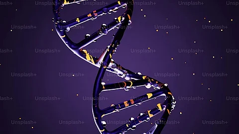 The gene identification provides insights into cancer progression and neurodegenerative diseases (Representational image: Unsplash)