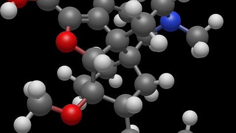 Chiarello examined six states with various levels of resources dedicated to fighting the opioids crisis (Representational Image: Wikimedia Commons)