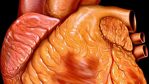 Heart problems can make you worry, and worry can  lead to heart problems. (Wikimedia Commons)