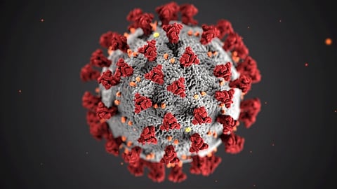 Close-up of a coronavirus particle on a black background, highlighting its spiky surface and spherical shape.