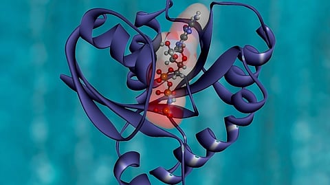 Researchers from Children’s Hospital of Philadelphia (CHOP) identified a key metabolite in cells that helps direct immune responses. (Representational image: Unsplash)