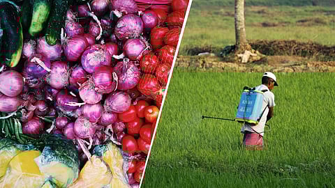 Research studies shows that due to the excessive use of pesticides in the field, vegetables or fruits may contain pesticide residue which can be hazardous to human health. (Representational Image: Unsplash)