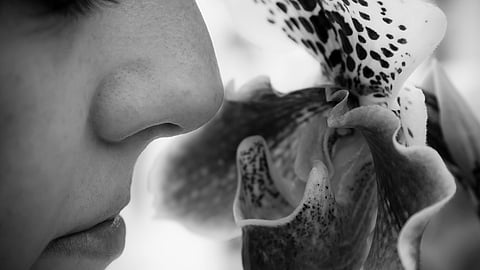 Using data from both mice and humans, a Johns Hopkins Medicine research team has found that a cell surface protein that senses odors and chemicals (Representational Image: Wikimedia Commons)