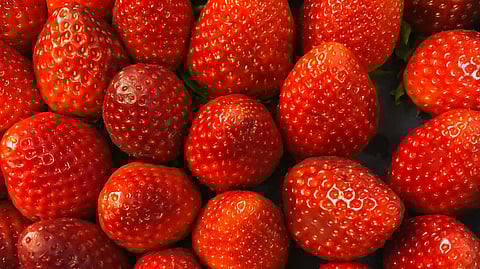 What we eat has a profound impact on our health. Eating more fruits and vegetables is linked to lower risk of a host of chronic diseases. (Unsplash)