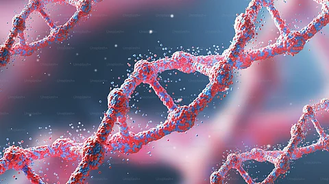 These are the five research areas where the field of biomedical engineering has the potential to achieve tremendous impact on the field of medicine, one of which is designing and engineering genomes for organism repurposing and genomic perturbations. (Representational Image: Unsplash)