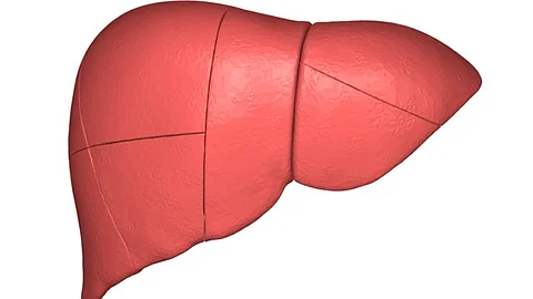 Young girls livers were transplanted using the bloodless technique. (Representational Image: Wikimedia Commons)
