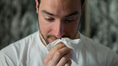 University of California, Los Angeles (UCLA), Health Sciences provides some tips for reducing allergy caused by climate change that last longer.
(Representational Image: Unsplash)
