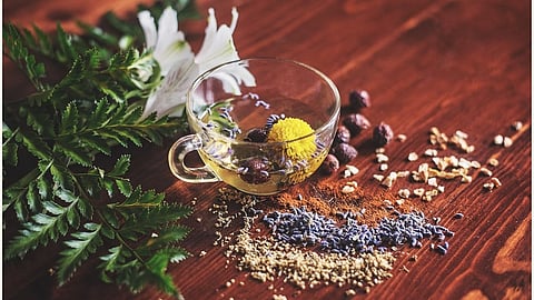 The lipids in some herbal teas have been identified in detail for the first time, preparing the ground for investigating their contribution to the health benefits of the teas.
(Representational Image: Unsplash)
