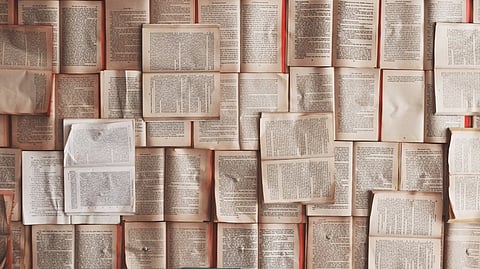 a recent study from the Brown School at Washington University in St. Louis highlights the necessity of recognizing age as a fundamental dimension of diversity.
(Unsplash)