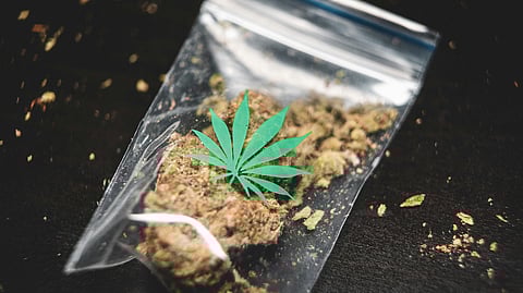 Cocaine is the most seized drug in the Sahel after cannabis resin, the report said. (Representational Image: Unsplash)