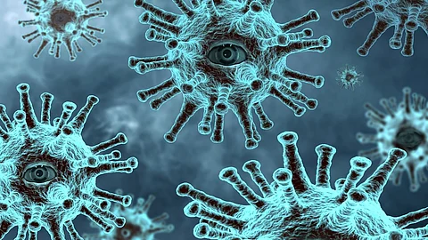 The bacteria's preference for serine, an amino acid that is widely present in human blood and is also present in protein drinks, is very significant. (Representational image: Pixabay)