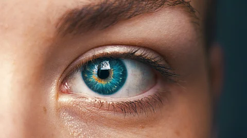 By restoring proper function in many of the dysfunctional genes in dying photoreceptor cells, vision can be rescued from further damage and loss.