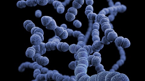 The researchers found that specific bacterial changes are linked to different stages of esophageal cancer. (Representational image: Unsplash)