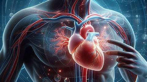 In the United States, about 30-40% of donated hearts aren't considered for transplant due to inadequate function in the donor.
(Representative image: Pixabay)