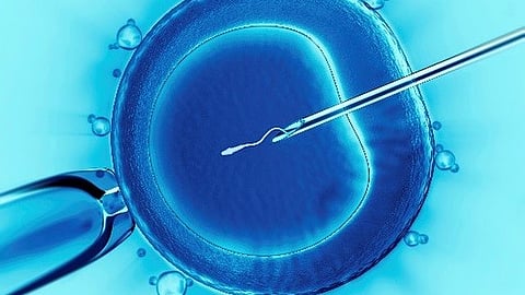 Study Reveals Mixed Public Opinion on Polygenic Embryo Screening for IVF (Pixabay)
