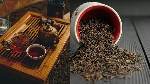 The research of Henan University of Technology and Anhui Agricultural University provides a detailed account of the biosynthetic pathway of methyl jasmonate (MeJA) in tea leaves.