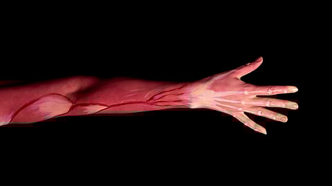 This latest study demonstrated that our non-invasive method of muscle stimulation mobilizes a similar anticancer defense as exercise. (Representational Image: Unsplash)