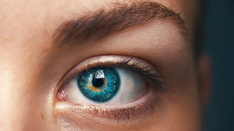Chalmers University, Freiburg University, and the Netherlands Institute for Neuroscience researchers developed thin and flexible electrodes (vision implants) that may remain in the body for a long time and have the potential to restore lost sensory function.
(Representational Image: Unsplash)