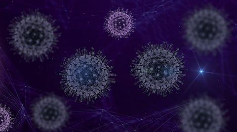 Researchers have developed a groundbreaking electrostatic air sampler that enhances the rapid monitoring of airborne influenza and coronavirus.
(Representative image: Pixabay)