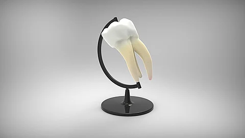 Step into the future of dentistry where Nanotechnology sculpt a brighter, healthier smile. (Pixabay)
